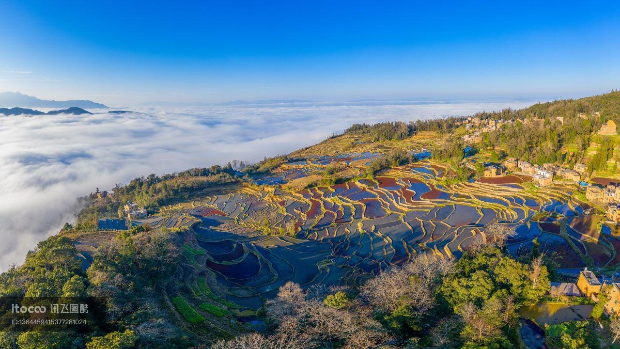 森林,自然风光,山川