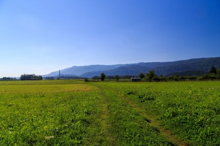 自然风光,植物,稻田,山峦,山川,天空