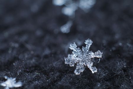 雪花,水晶,湿,霜,自然,环境,形状,特写,微距,生活工作,雪,冬天