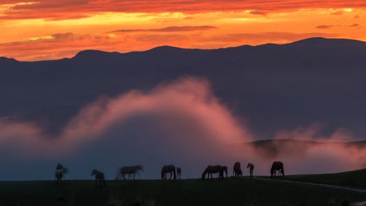 天空,自然风光,山川,日落,动物,马,气候气象,霞光