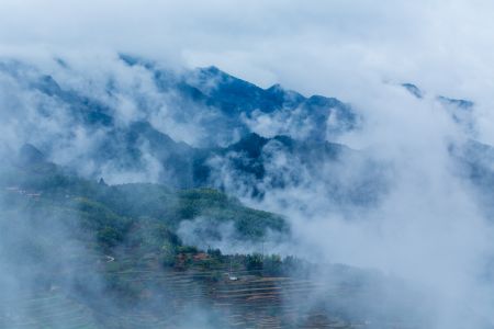 自然风光,雾,航拍,俯瞰,森林,植物,树木,天空,山川