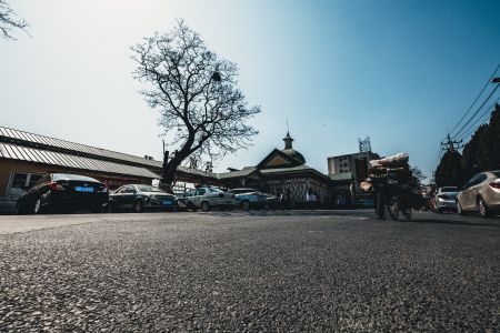 交通工具,自然风光,天空,道路,汽车,建筑,植物,树木,自行车