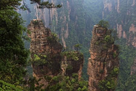 山川,峡谷,中国,张家界,森林,自然风光,湖南,天空