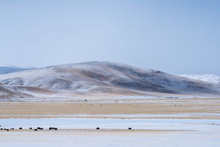 自然风光,湖泊,山川,动物