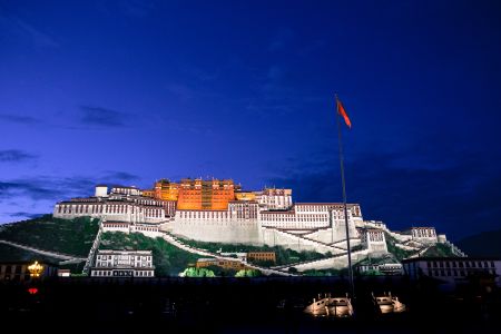 西藏,景点,布达拉宫,城镇,宗教文化,历史古迹,夜晚,全景