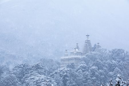 中国,北京,冬天,碧云寺,建筑,历史古迹,寺庙,自然风光,森林,雪,雾