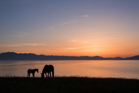 自然风光,天空,湖泊,山川,动物,马,日落