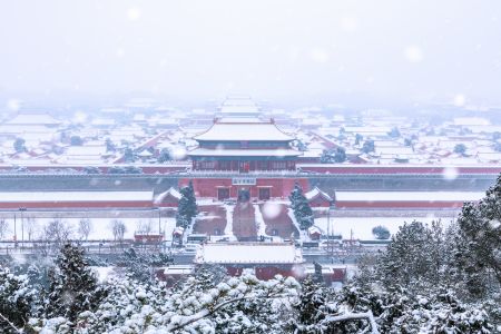 中国,北京,建筑,传统建筑,北京故宫博物院,历史古迹,天空,雪,俯瞰,航拍,城镇,景山公园,树木