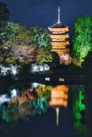 建筑,都市,城镇,古典园林