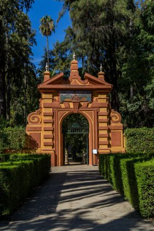 城镇,建筑,景点,民俗风情,国外,植物,树木,灌木