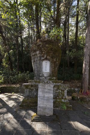 植物,大理,感通寺,建筑,云南