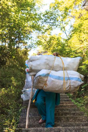 生活工作,人像,特写,植物,三清山,中国,江西