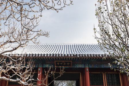 北京,颐和园,城镇,建筑