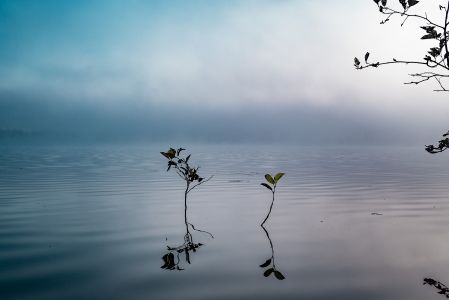 自然风光,国外,湖泊,树叶,天空,雾,海洋,加拿大