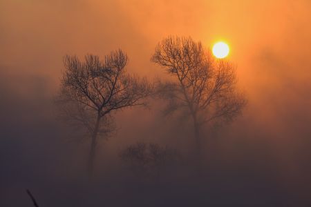 雾凇,天空,气候气象,霞光,植物,太阳,吉林,自然风光,中国