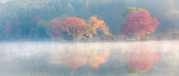 自然风光,秋天,全景,湖泊,森林,植物,树木