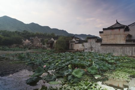建筑,现代建筑,传统建筑,民居,山峦,自然风光,植物,安徽,黄山