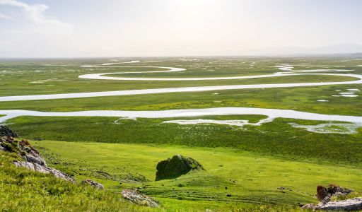 草原,自然风光,植物,青草,江河