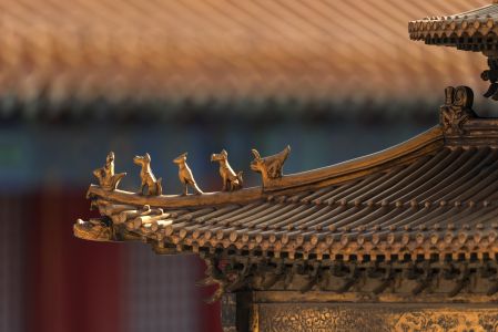 中国,北京,传统建筑,故宫,脊,建筑,黄金,城镇,动物