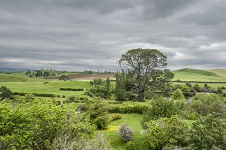 植物,草原,民居,城镇,自然风光,国外,青草,新西兰