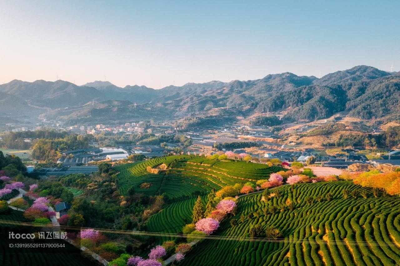 福建,福建龙岩永福樱花园,中国