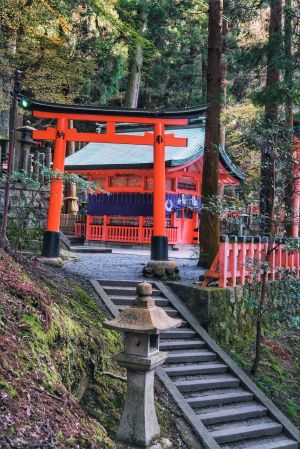 都市,建筑,城镇