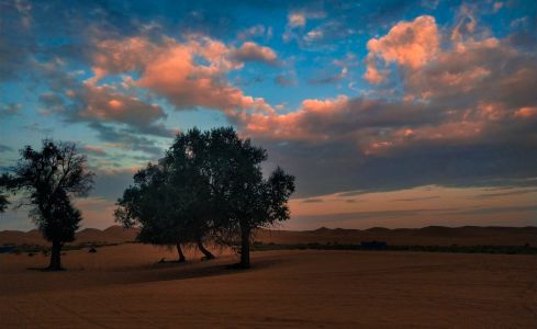 天空,气候气象,霞光,自然风光,沙漠,树木,植物