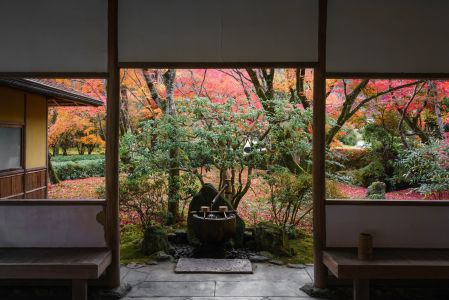 传统建筑,自然风光,景点,植物,京都,枫叶,自然公园,国外,树木,商品,窗,建筑,中式传统建筑