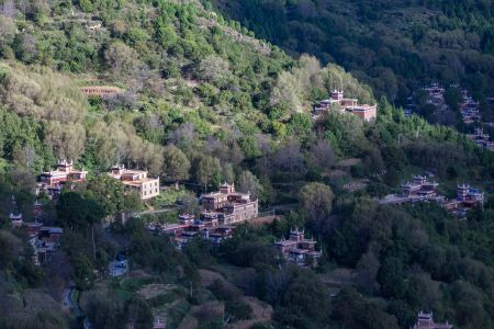 中国,航拍,植物,自然风光,森林,树木,川西,峡谷,四川,村镇