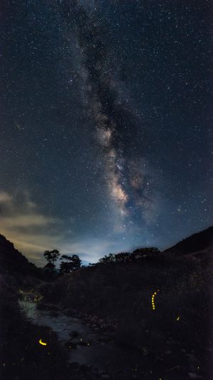 自然风光,星空,夜晚,广西烟霞山风景区,石坑崆,天空,植物,树木,青草,山川