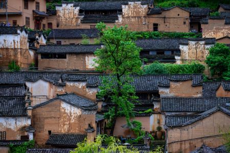 建筑,历史古迹,俯瞰,航拍,传统建筑,城镇,村镇,植物,树木