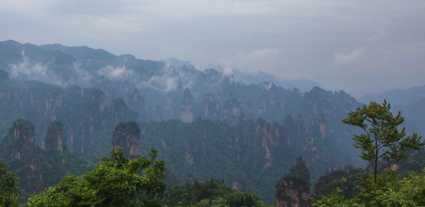山川,峡谷,中国,张家界,森林,自然风光,湖南,天空