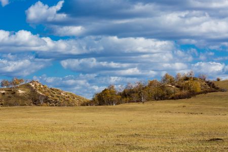 自然风光,天空,草原,植物,青草,森林,白云,树木