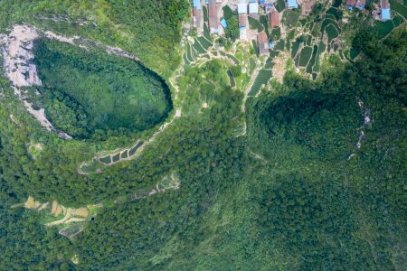 自然风光,森林,俯瞰