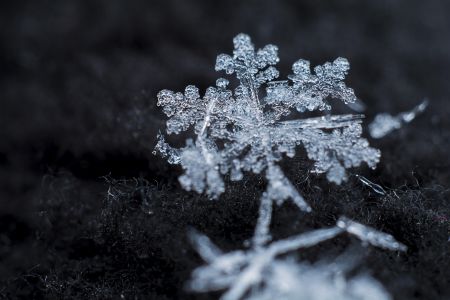 雪花,水晶,湿,霜,自然,环境,形状,特写,微距,生活工作,雪,冬天