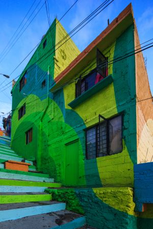 生活工作,建筑,生物,墨西哥,国外