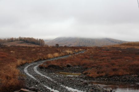 自然风光,道路,草原,白哈巴,中国,新疆