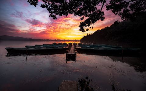 天空,全景,特写,日出,树木,船,霞光,自然风光,湖泊,植物,交通工具,生活工作