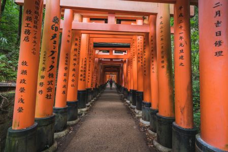 建筑,景点,千本鸟居,传统建筑,中式传统建筑,自然风光,国外,寺塔,现代建筑