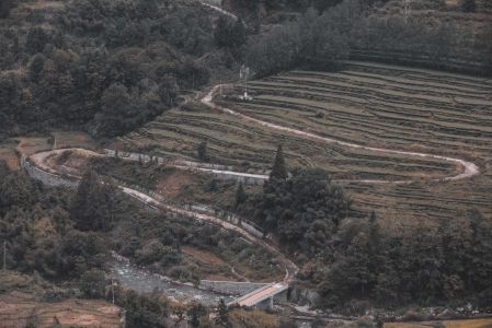 植物,树木,梯田,自然风光,江河,道路,桥