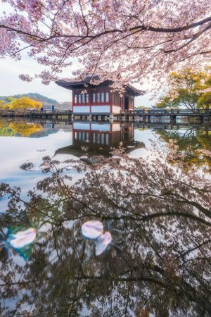 建筑,湖泊,历史古迹,自然风光,植物,树木,桥