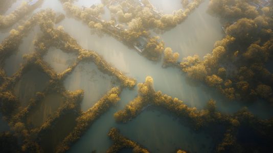 杭州西溪湿地公园,航拍,自然风光,建筑,树木,植物,湖泊