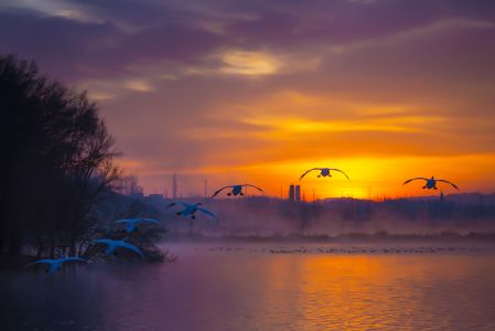 天空,自然图像,气候气象,霞光,湖泊,自然风光