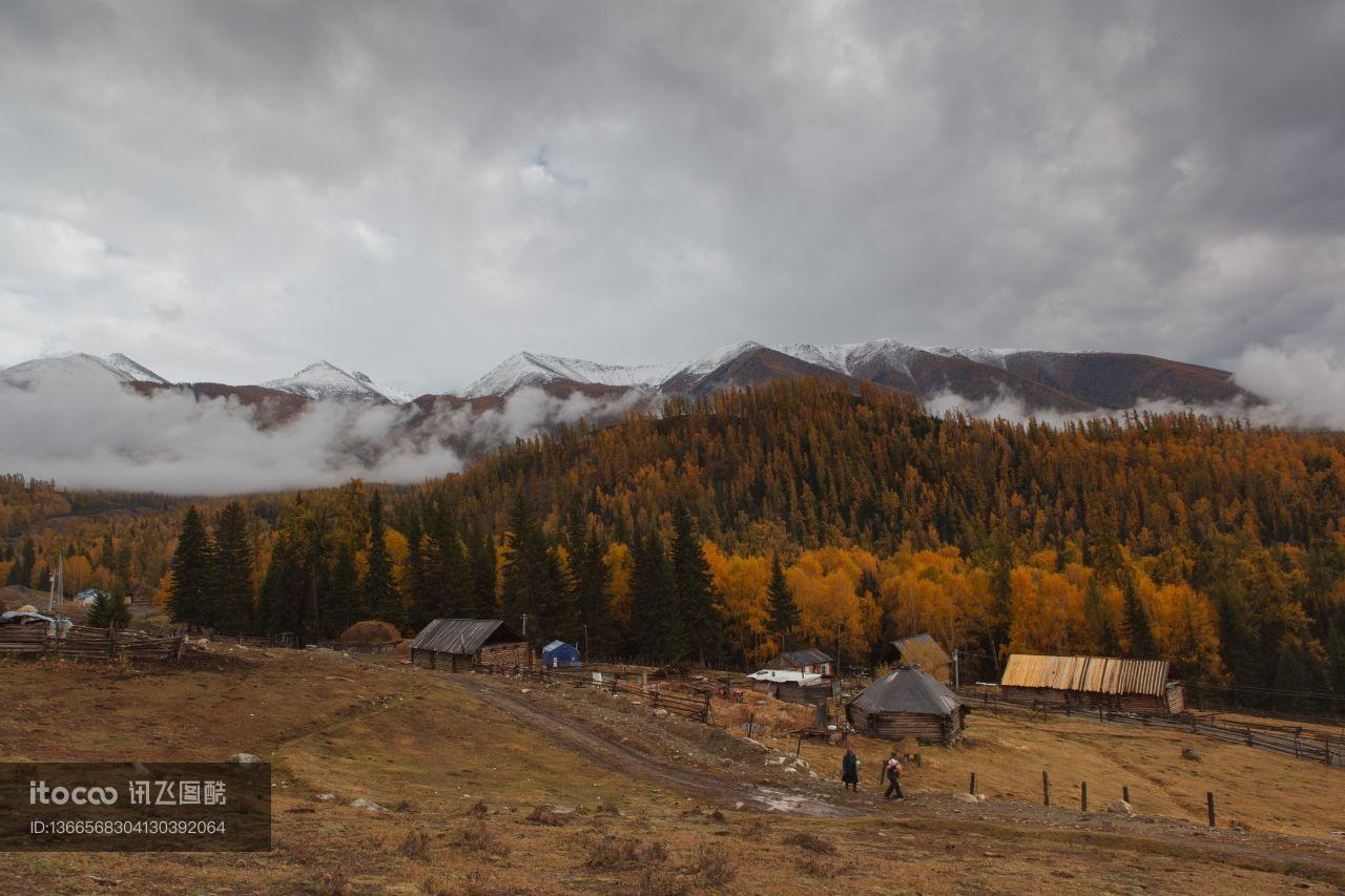 自然风光,森林,雪山