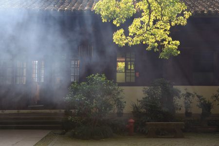 建筑,中式传统建筑,烟雾,城镇,古典园林,全景,植物,树木,灌木