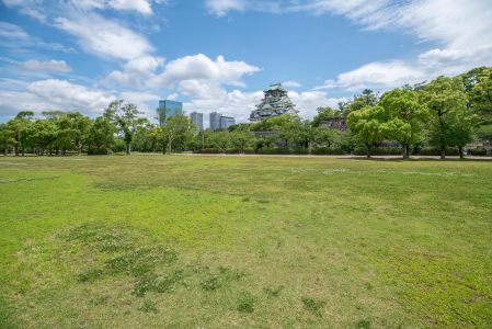 建筑,现代建筑,自然公园,自然风光,天空,白云,植物,青草