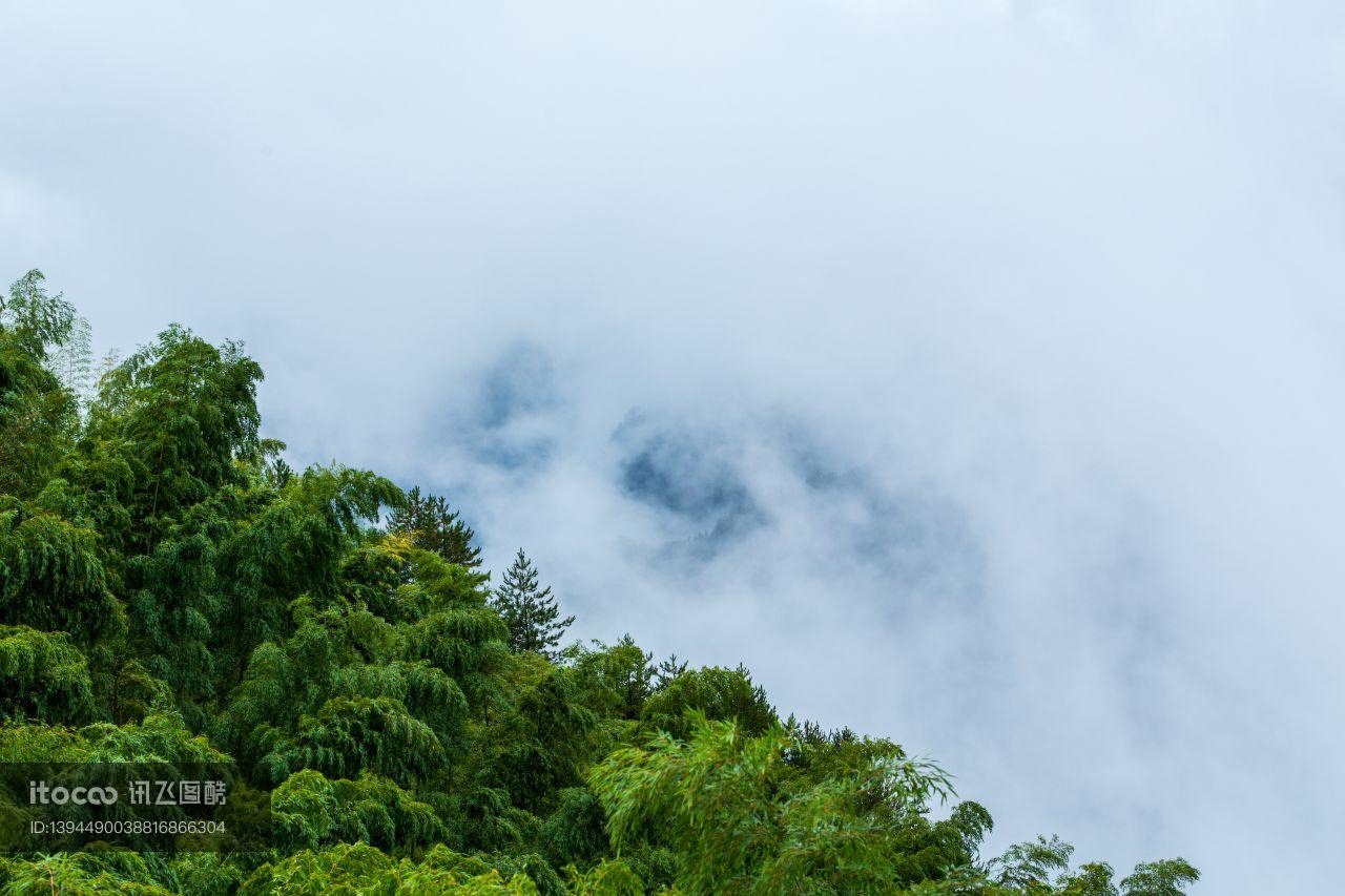 自然风光,天空,仰拍