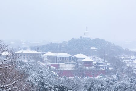 冬天,中国,北京,俯瞰,景山公园,建筑,历史古迹,自然风光,天空,植物,树木,雪