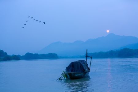 自然风光,湖泊,天空,植物,树木,特写,江河,山川,森林,太阳,清晨,动物,鸟类,交通工具,船