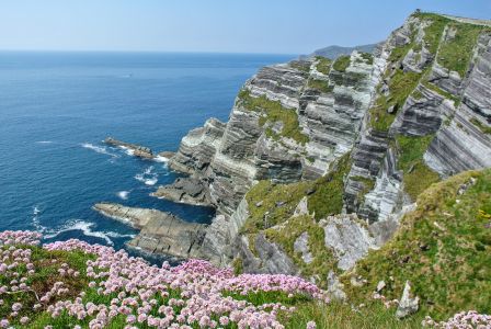 自然风光,海洋,海岛,国外,生物,植物,山峦,花,爱尔兰